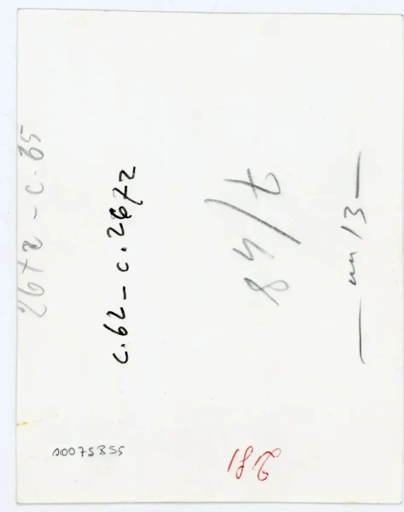 Vaghi, Bruno , C. 65 - c. 267r , retro