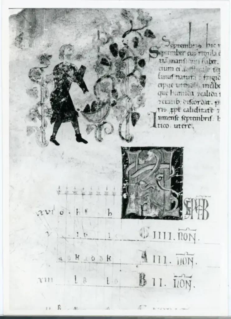 Vaghi, Bruno , Codice 65 - c. 13v. , fronte