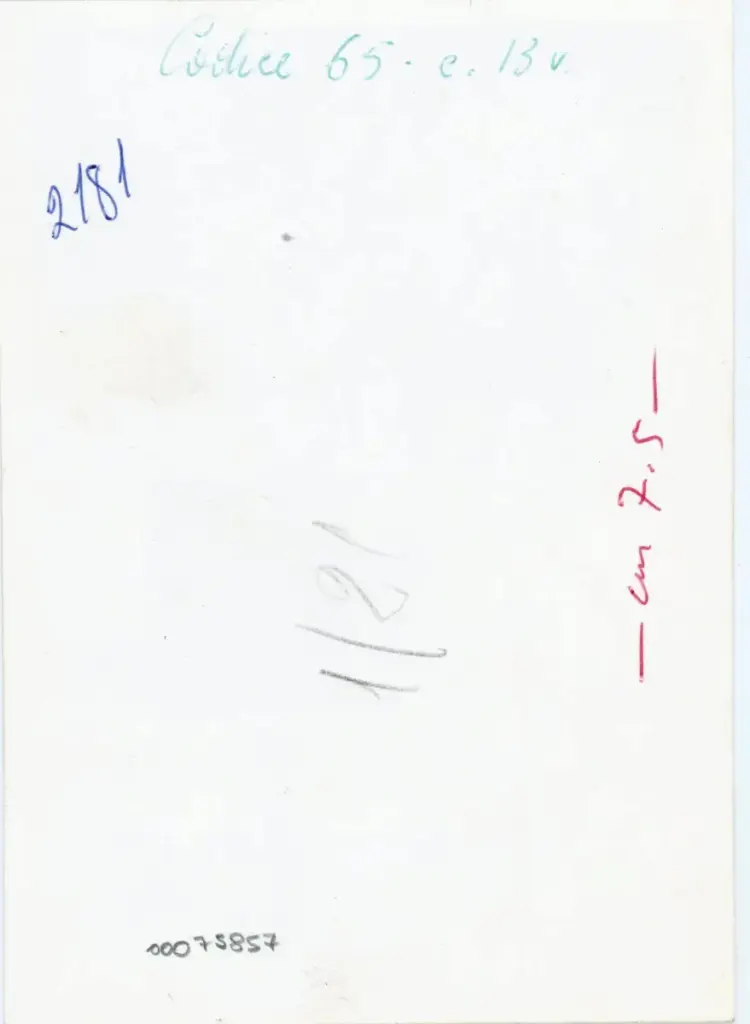 Vaghi, Bruno , Codice 65 - c. 13v. , retro