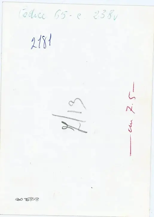 Vaghi, Bruno , Codice 65 - c. 238v , retro