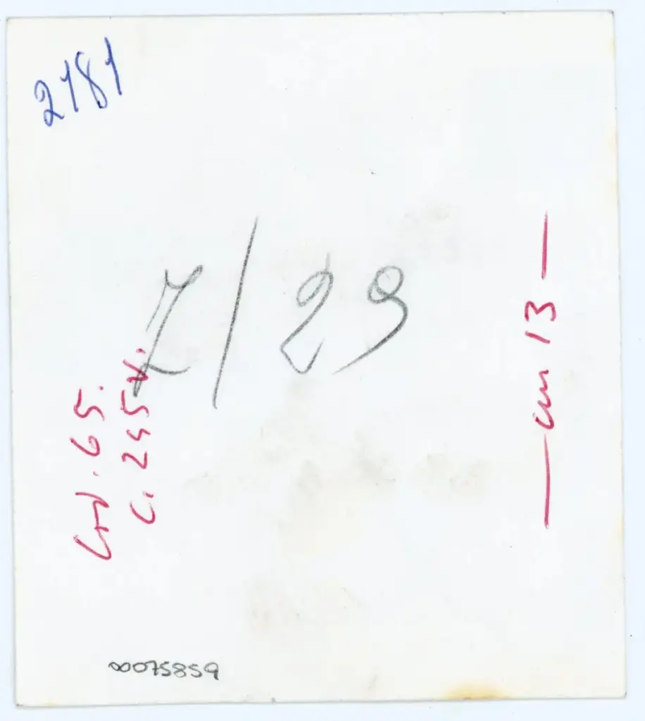 Vaghi, Bruno , Codice 65. - c. 245V. , retro