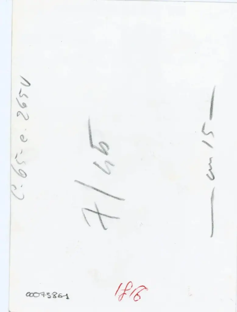 Vaghi, Bruno , C. 65 - c. 265v , retro