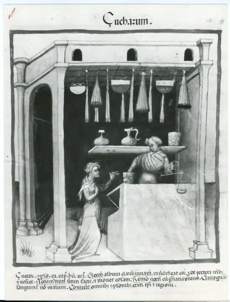 Anonimo , Taccuinum Sanitatis - Vienna - Bibl. Nazionale , fronte