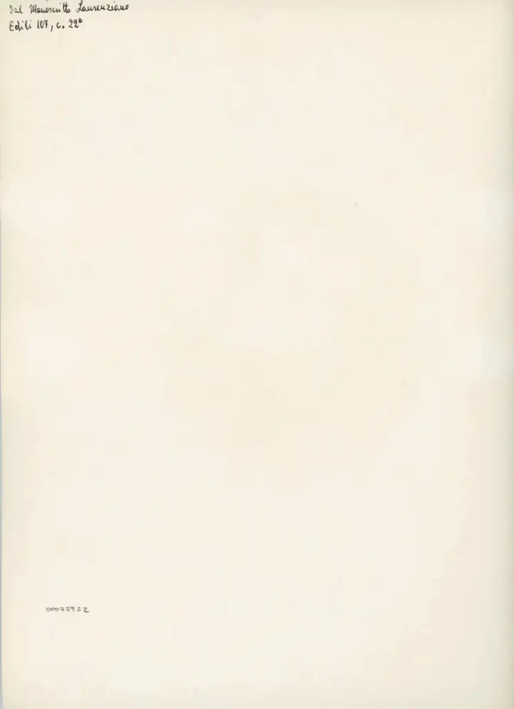 Anonimo , Anonimo - sec. XV - Firenze, Biblioteca Medicea Laurenziana, ms. Edili 107, f. 22r, particolare , retro