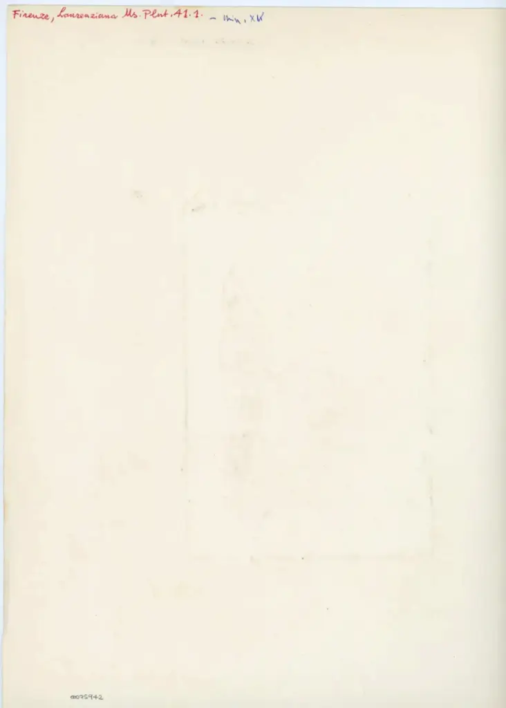 Anonimo , Firenze, Laurenziana Ms. Plut. 41.1 - min. XV , retro