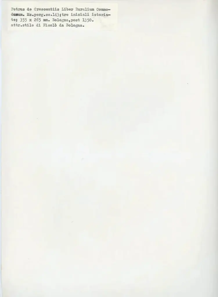 Anonimo , Anonimo - sec. XIV - Cagliari, Biblioteca Universitaria, ms. 82 (Pietro de' Crescenzi, Ruralium Commodorum Opus), una pagina miniata , retro