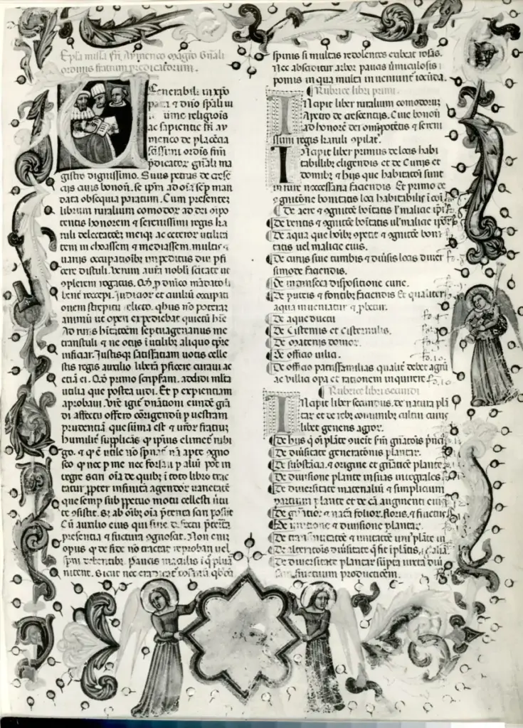 Nicol&ograve; di Giacomo da Bologna, maniera , Iniziale V, Iniziale abitata, Cornice con motivi decorativi fitomorfi, Angelo che suona la tromba