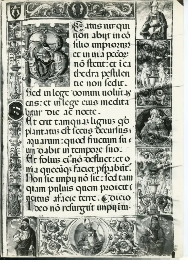 Anonimo sec. XVI , s.v.