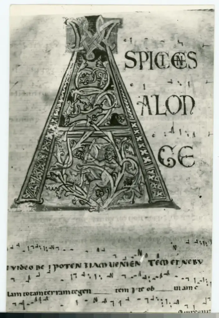 Anonimo , Anonimo italiano - sec. XII, inizio - Lucca, Biblioteca Capitolare Feliniana, Ms. 602, f. 4r, particolare