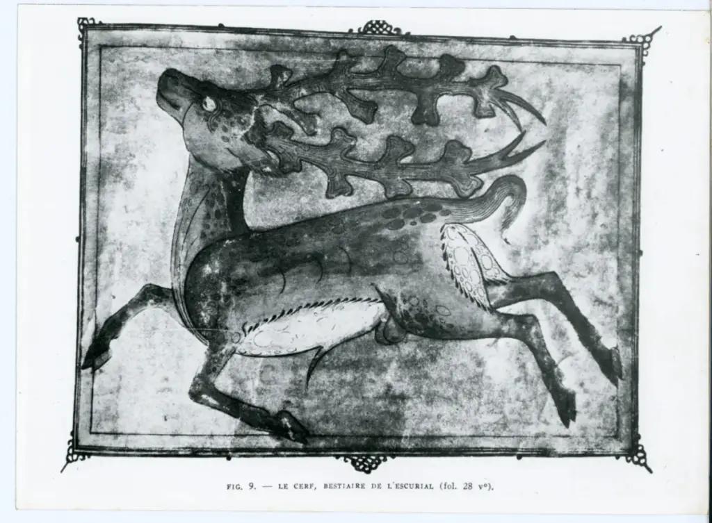 Anonimo , Le cerf, Bestiaire de l'Escurial (fol. 28 v&deg;). , fronte