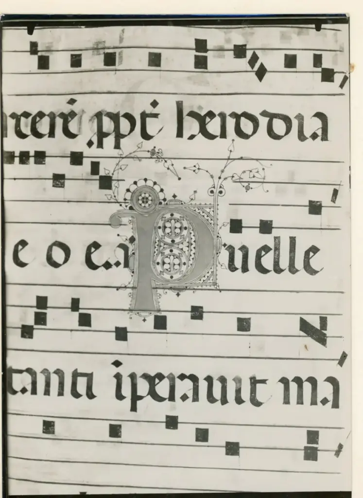 Anonimo , - - Iniziale P; Motivi decorativi fitomorfi; Notazione musicale , fronte