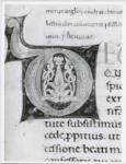 Anonimo italiano sec. XII , Iniziale D, Motivi decorativi fitomorfi