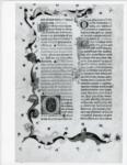 Anonimo italiano sec. XV , Pagina miniata, Fregio con motivi vegetali, Iniziale O, Iniziale decorata