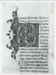 Anonimo italiano sec. XV , Iniziale B, Iniziale decorata, Motivi decorativi fitomorfi