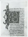 Anonimo italiano sec. XV , Iniziale B, Iniziale decorata, Motivi decorativi fitomorfi