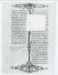 Anonimo italiano sec. XV , Pagina miniata, Iniziale asportata, Motivi decorativi fitomorfi