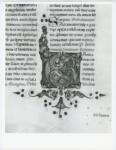 Anonimo italiano sec. XV , Iniziale G, Iniziale decorata, Motivi decorativi fitomorfi