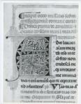Università di Pisa. Dipartimento di Storia delle Arti , Anonimo italiano - sec. XIV - Lucca, Biblioteca Capitolare Feliniana Lucca, Ms. 597, f. 1r, particolare
