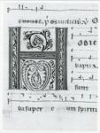 Anonimo italiano sec. XIII , Iniziale H, Motivi decorativi fitomorfi, Notazione musicale