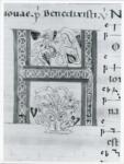 Anonimo italiano sec. XIII , Iniziale H, Iniziale decorata, Motivi decorativi geometrici e vegetali, Notazione musicale