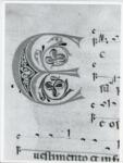Anonimo italiano sec. XIII , Iniziale E, Iniziale decorata, Motivi decorativi fitomorfi, Notazione musicale
