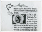 Anonimo italiano sec. XIV , Iniziale D, Iniziale decorata, Motivi decorativi fitomorfi