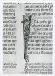 Anonimo italiano sec. XIV , Iniziale I, Iniziale figurata, Testa d'uomo di scorcio, Motivi decorativi fitomorfi