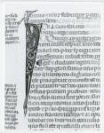 Anonimo italiano sec. XIV , Iniziale I, Iniziale figurata, Testa d'uomo di profilo, Motivo decorativo zoomorfo, Motivi decorativi fitomorfi
