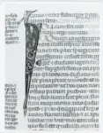Anonimo italiano sec. XIV , Iniziale I, Iniziale figurata, Testa d'uomo di profilo, Motivo decorativo zoomorfo, Motivi decorativi fitomorfi