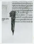 Universit&agrave; di Pisa. Dipartimento di Storia delle Arti , Anonimo italiano - sec. XIV, primo quarto - Lucca, Biblioteca Capitolare Feliniana, Ms. 325, f. 119v, particolare
