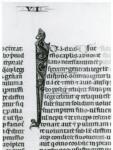 Anonimo italiano sec. XIV , Iniziale I, Iniziale figurata, Motivo decorativo zoomorfo, Motivi decorativi fitomorfi