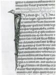 Anonimo italiano sec. XIV , Iniziale I, Iniziale figurata, Motivo decorativo con animali fantastici, Motivi decorativi fitomorfi