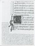 Anonimo italiano sec. XIV , Iniziale E, Iniziale abitata, Motivo decorativo con animali fantastici