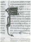 Anonimo italiano sec. XIV , Iniziale S, Iniziale figurata, Motivo decorativo con animali fantastici, Motivi decorativi fitomorfi