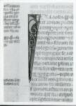 Anonimo italiano sec. XIV , Iniziale I, Iniziale figurata, Testa d'uomo di profilo, Motivi decorativi fitomorfi