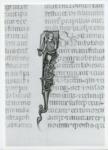 Anonimo italiano sec. XIV , Iniziale I, Iniziale figurata, Ritratto di giovane uomo in armi, Motivi decorativi vegetali e zoomorfi