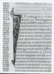 Anonimo italiano sec. XIV , Iniziale I, Iniziale figurata, Motivi decorativi vegetali e zoomorfi