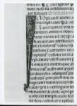 Anonimo italiano sec. XIV , Iniziale I, Iniziale figurata, Motivo decorativo con animali fantastici