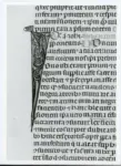 Anonimo italiano sec. XIV , Iniziale I, Iniziale figurata, Motivi decorativi vegetali e zoomorfi