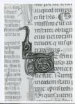 Anonimo italiano sec. XIV , Iniziale T, Iniziale figurata, Motivo decorativo con animali fantastici
