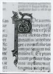 Anonimo italiano sec. XIV , Iniziale P, Iniziale decorata, Motivi decorativi vegetali e animali