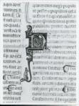 Anonimo italiano sec. XIV , Iniziale N, Iniziale decorata, Motivi decorativi vegetali e zoomorfi, Testa d'uomo di profilo