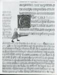 Anonimo italiano sec. XIV , Iniziale E, Iniziale decorata, Motivi decorativi vegetali e zoomorfi, Ritratto di giovane uomo con spada