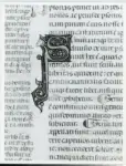 Anonimo italiano sec. XIV , Iniziale S, Iniziale decorata, Motivi decorativi vegetali e zoomorfi, Protome con barba, Protome coronata