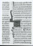 Anonimo italiano sec. XIV , Iniziale U, Iniziale decorata, Motivo decorativo con animali fantastici, Motivi decorativi fitomorfi