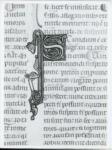 Anonimo italiano sec. XIV , Iniziale S, Iniziale decorata, Motivo decorativo con animali fantastici, Motivi decorativi fitomorfi