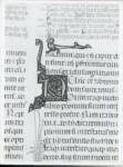 Anonimo italiano sec. XIV , Iniziale N, Iniziale decorata, Motivo decorativo con animali fantastici, Motivi decorativi fitomorfi