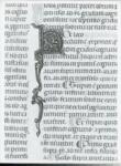 Anonimo italiano sec. XIV , Iniziale H, Iniziale decorata, Motivo decorativo con animali fantastici, Motivi decorativi fitomorfi