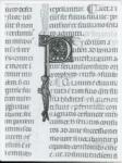 Anonimo italiano sec. XIV , Iniziale P, Iniziale decorata, Motivo decorativo con animali fantastici, Motivi decorativi fitomorfi