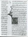 Anonimo italiano sec. XIV , Iniziale O, Iniziale decorata, Motivo decorativo con animali fantastici, Motivi decorativi fitomorfi